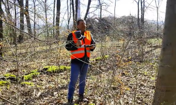 Digitale Waldinventur mit Slam-Laserscanning